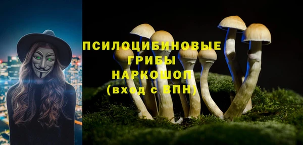 трава Абинск