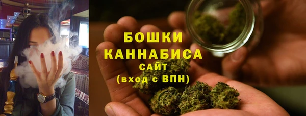 крисы Абдулино