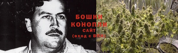 крисы Абдулино